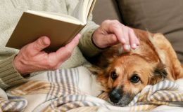 ¿Puedo dejar la herencia a mi mascota? Lo que realmente puedes hacer en España