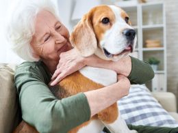 6 importantes beneficios de las mascotas para las personas mayores