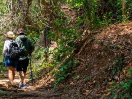 Como preparar el Camino de Santiago a partir de los 60 años