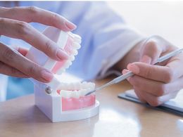 Regenerar dientes será posible antes de lo que imaginas