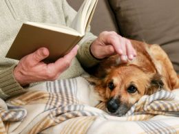 ¿Puedo dejar la herencia a mi mascota? Lo que realmente puedes hacer en España
