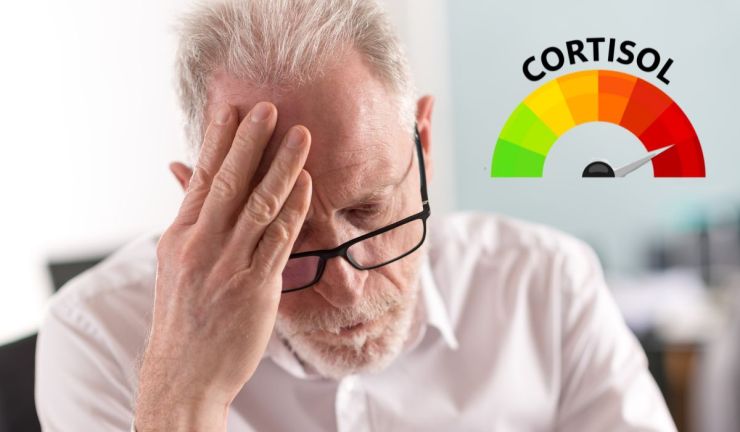 Qué ocurre cuando hay exceso de cortisol en el cuerpo