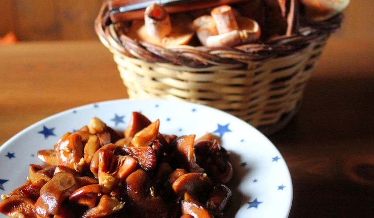 7 recetas de la abuela con setas: deliciosos platos de otoño