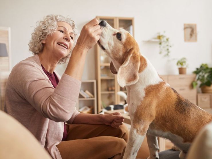 Por qué deberías tener una mascota después de los 60