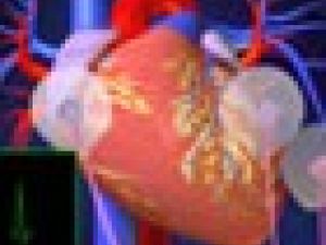 ¿Cómo funciona el sistema de coducción del corazón?