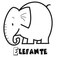 Colorear el elefante