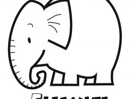 Colorear el elefante