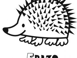 Colorear un erizo