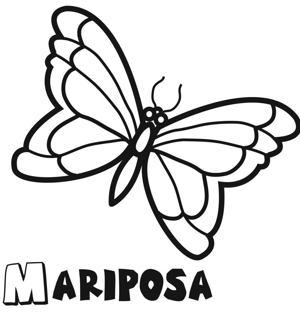 Colorear la mariposa.