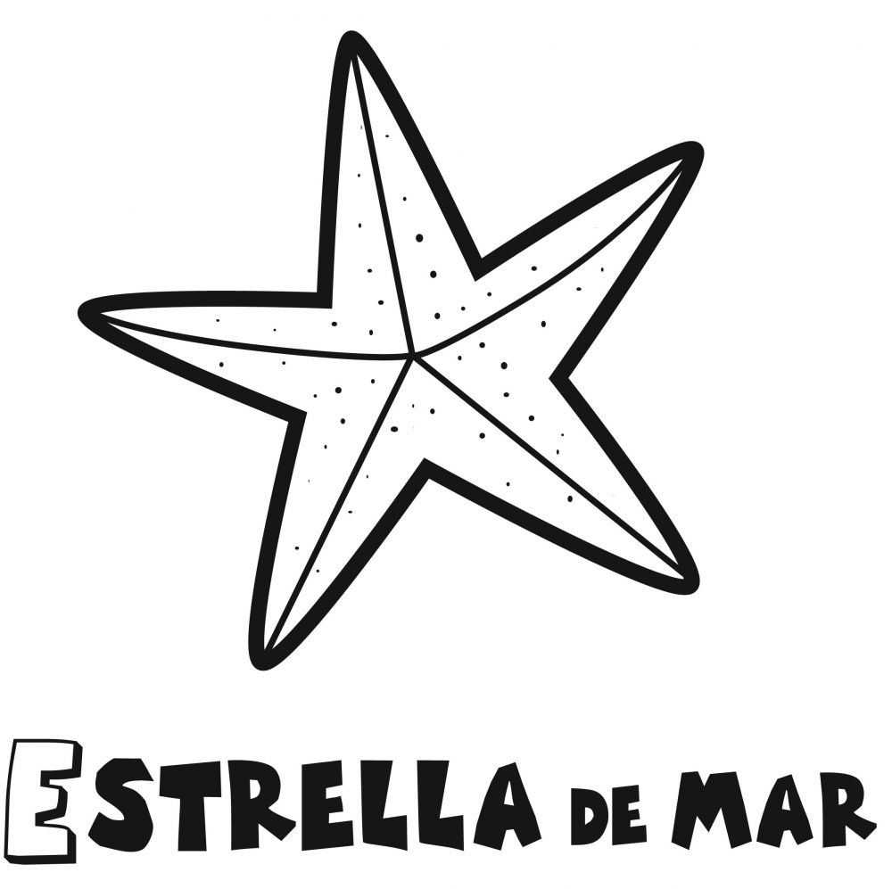 Colorear la estrella de mar