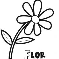 Colorear la flor