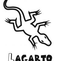 Colorear el lagarto