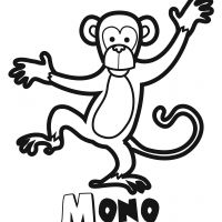 Colorear un mono