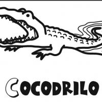Colorear a un cocodrilo