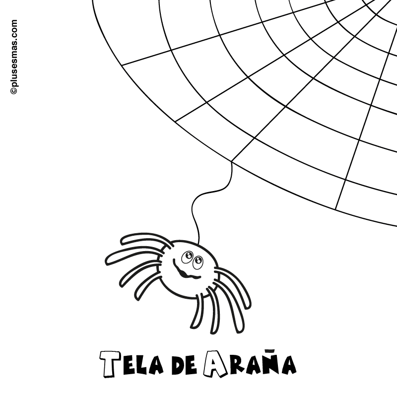 Colorear una tela de araña de halloween