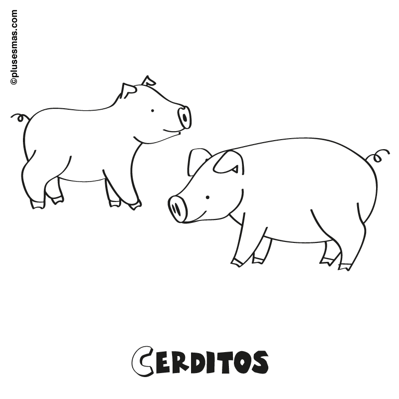 Colorear unos cerditos