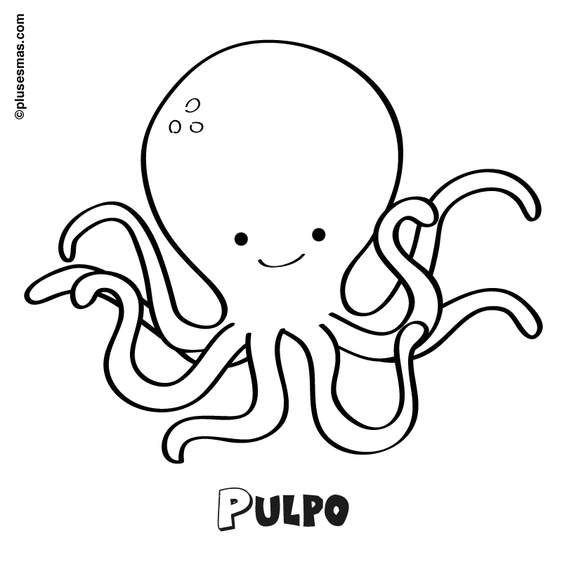 Colorear un pulpo