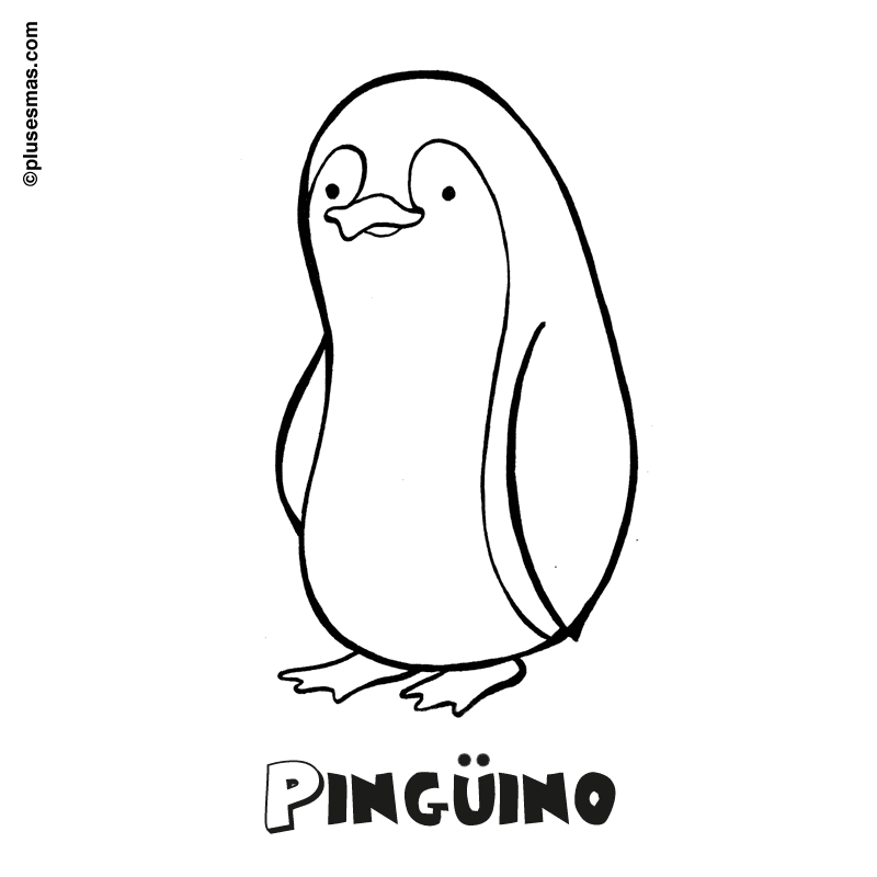 Pingüino para colorear