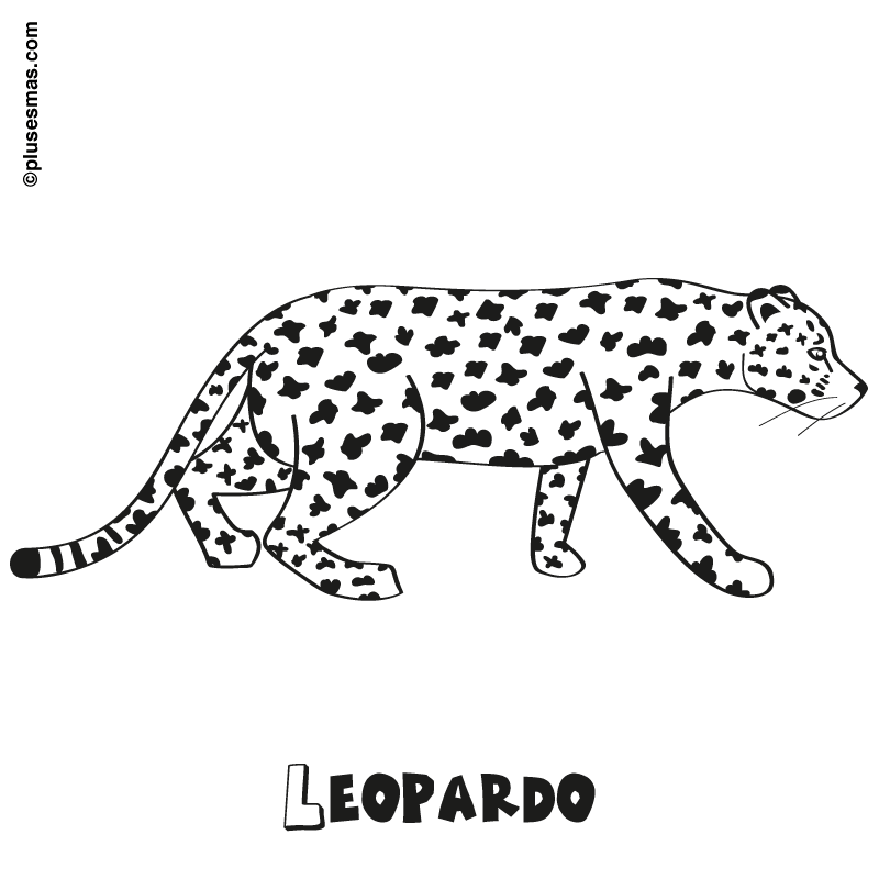 Leopardo para colorear