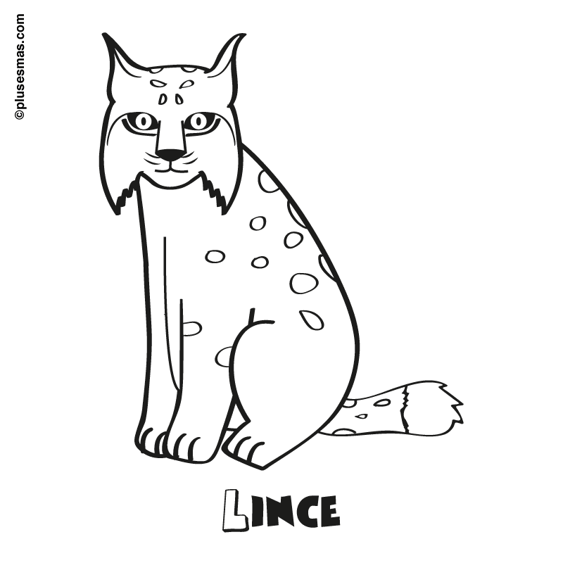 Lince para colorear