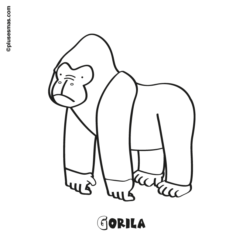 Gorila para colorear