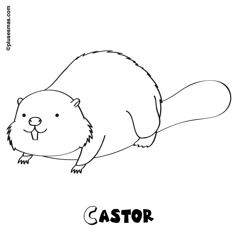 Castor para colorear