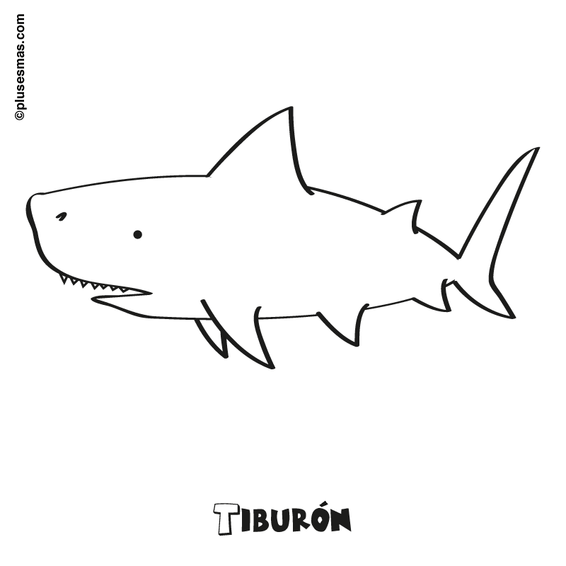 Tiburón para colorear