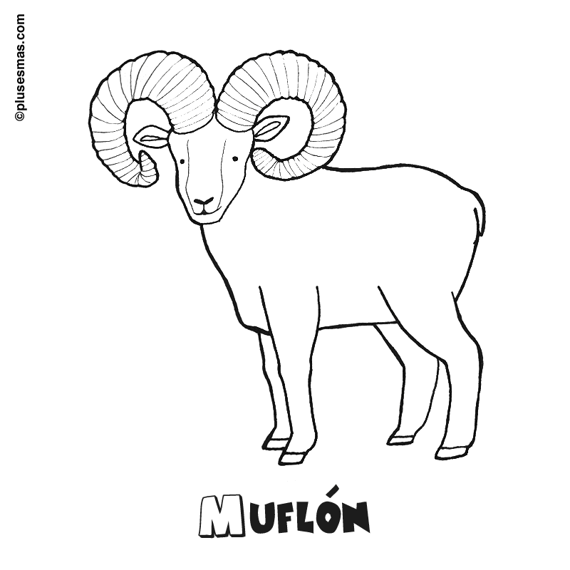 Muflón para colorear