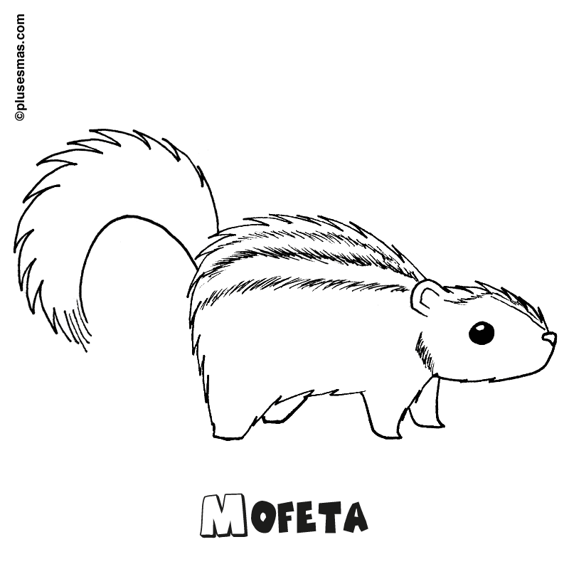 Mofeta para colorear