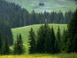 Paisaje de montaña