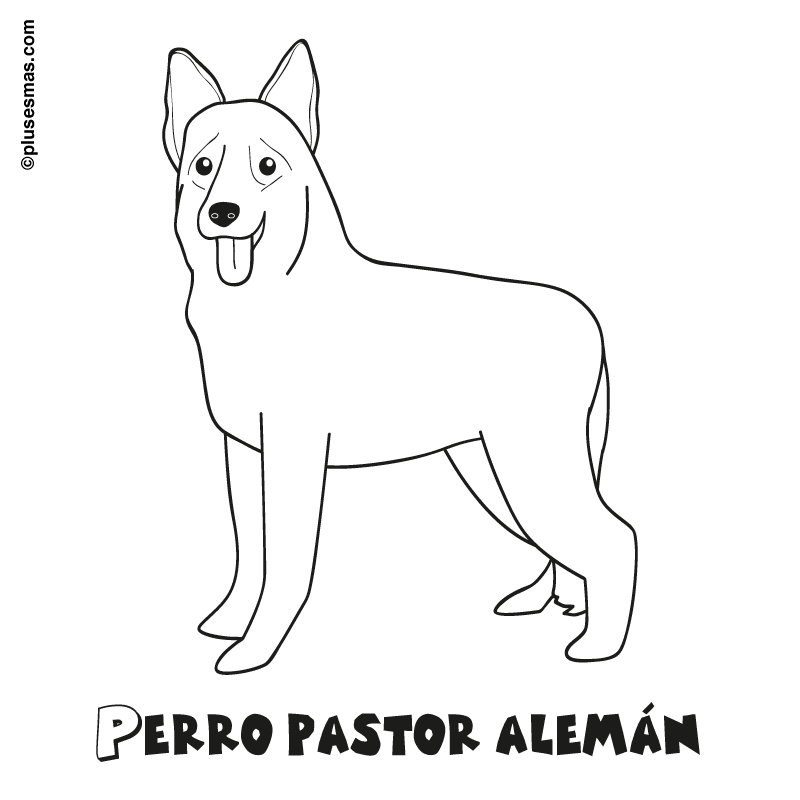 Colorear un perro pastor alemán