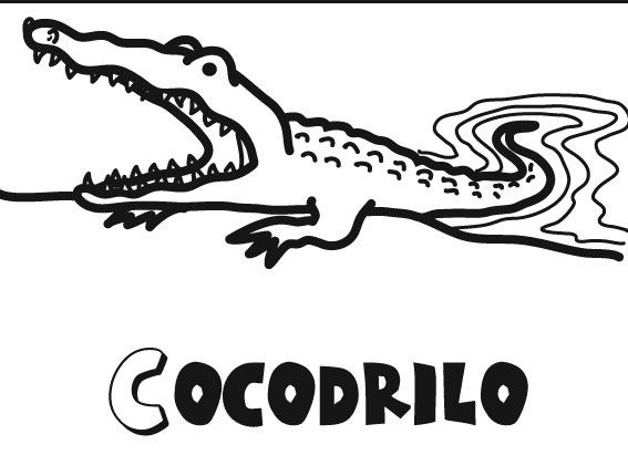 Colorear a un cocodrilo