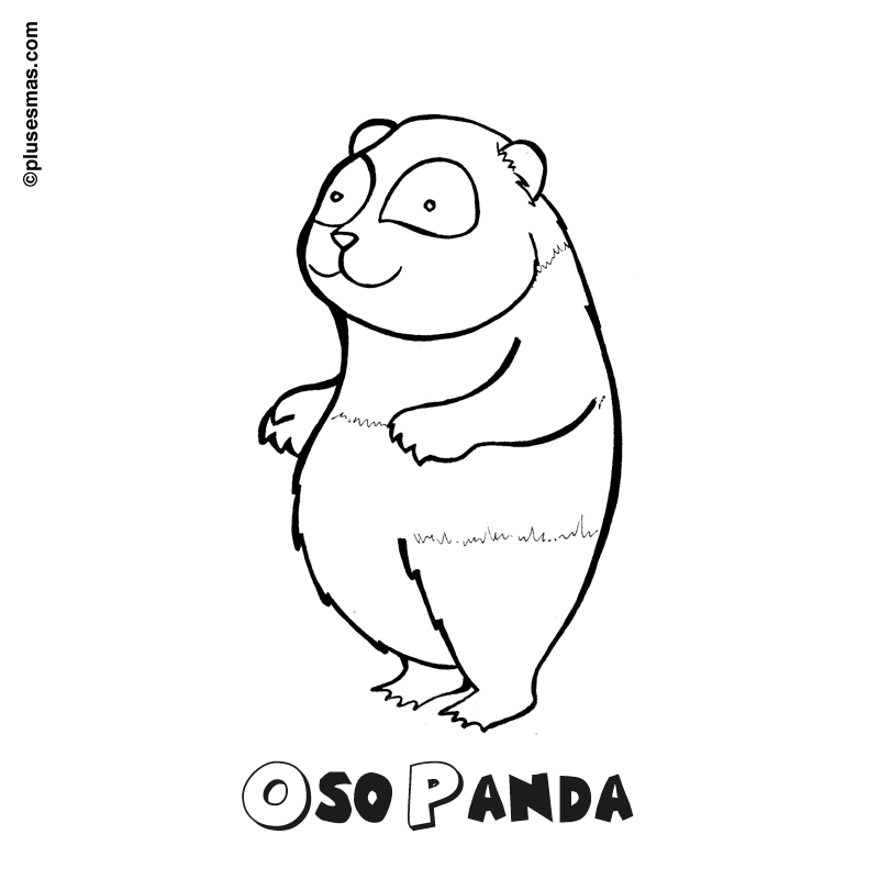 Colorear un oso panda