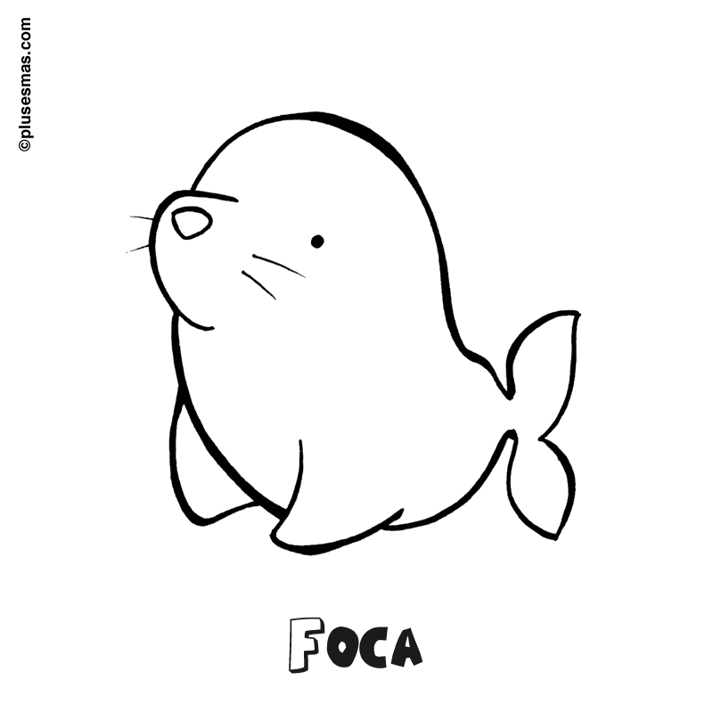 Colorear una foca