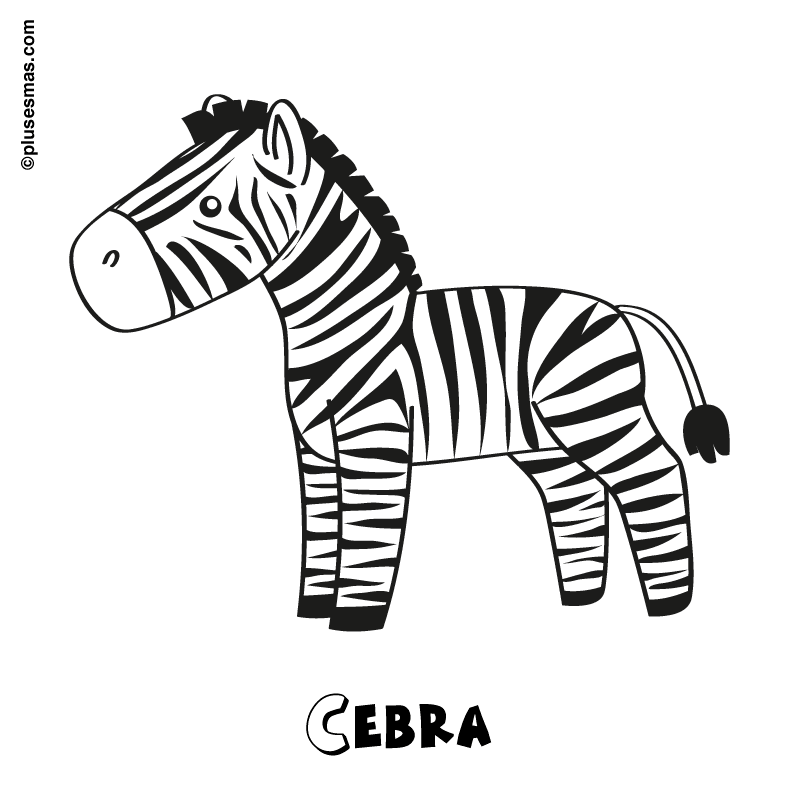 Cebra para colorear de cebras faciles Cebra para colorear