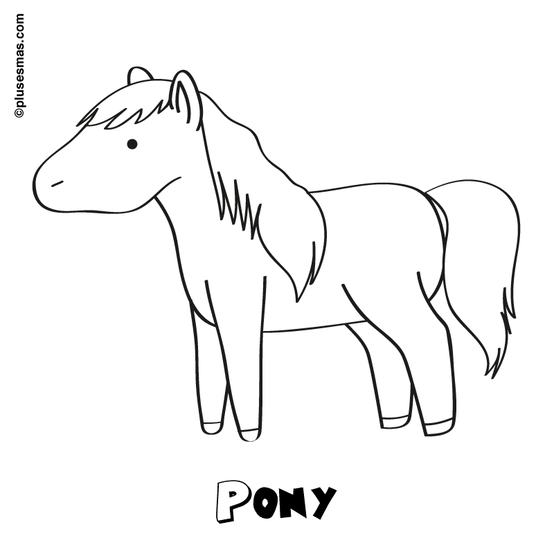 Pony para colorear