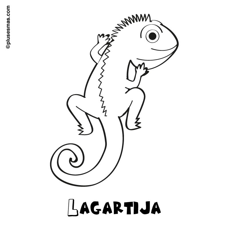 Lagartija para colorear