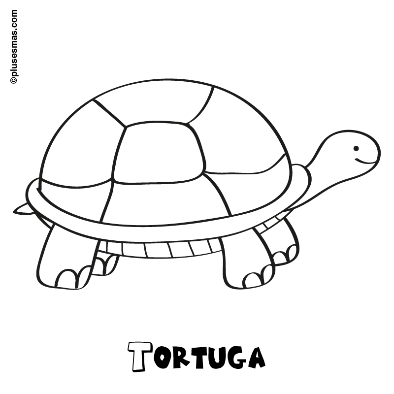 Tortuga para colorear