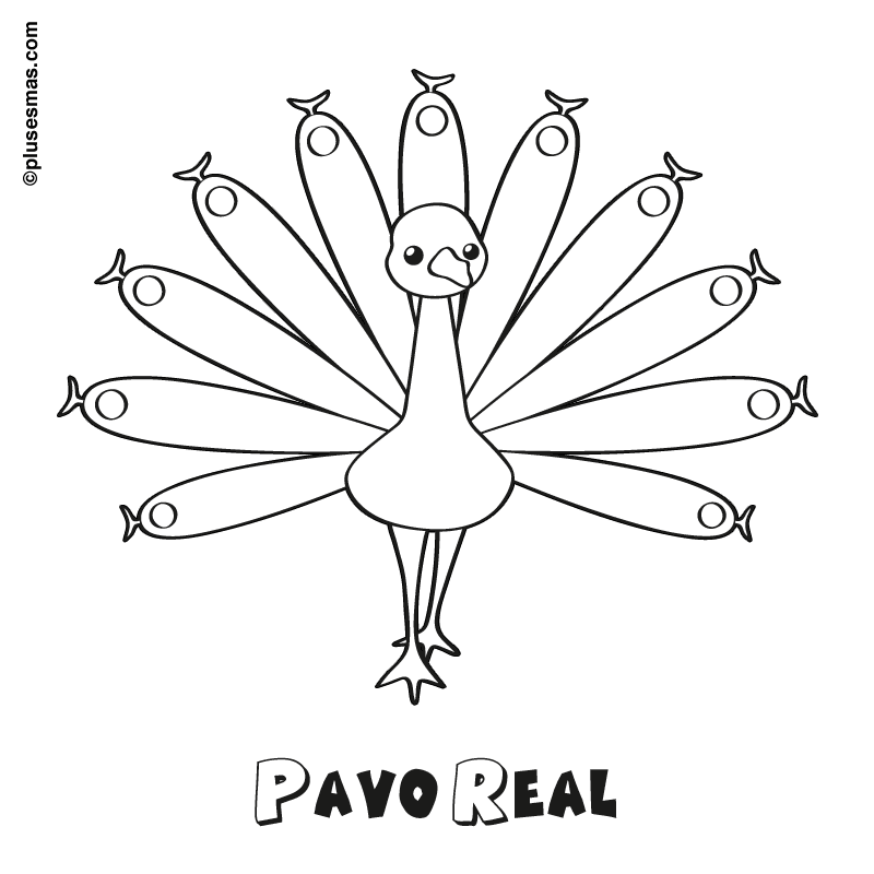 Pavo real para colorear