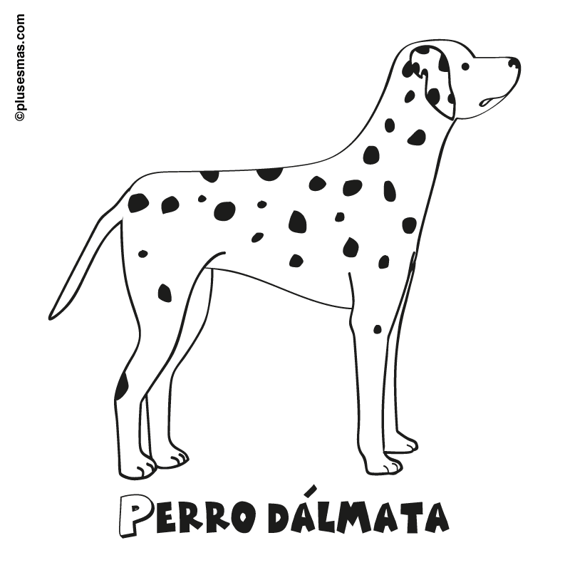 Colorear un perro dálmata