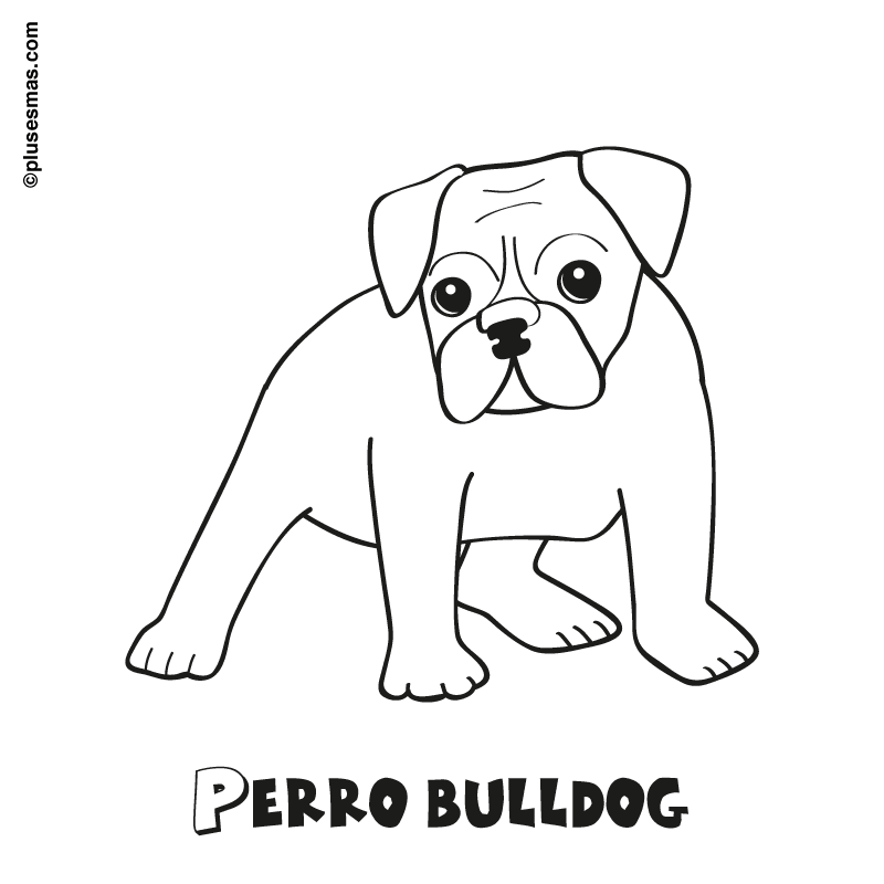 Colorear un perro bulldog
