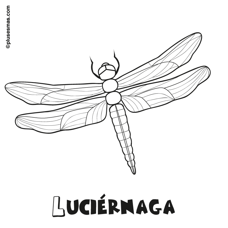 Colorear una luciérnaga