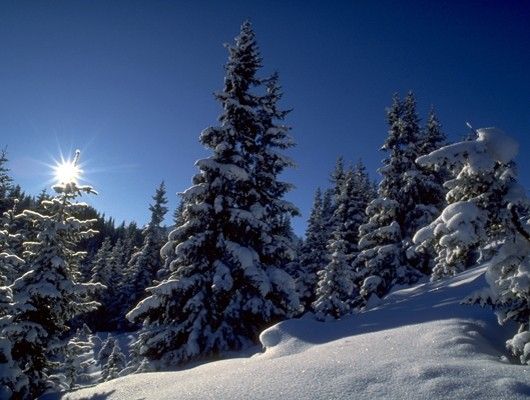 Paisaje nevado