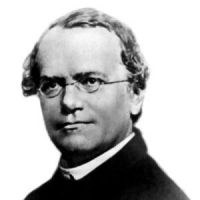 Gregor Johann Mendel