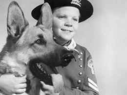 «Las aventuras de Rin Tin Tin»