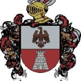 Escudo del apellido Acitain