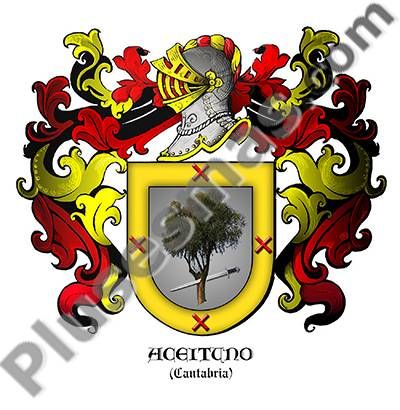 Escudo del apellido Aceituno