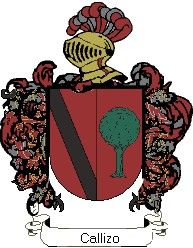 Escudo del apellido Callizo