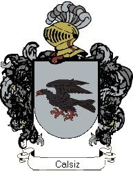 Escudo del apellido Calsiz