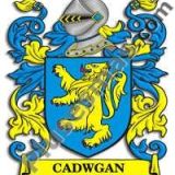 Escudo del apellido Cadwgan